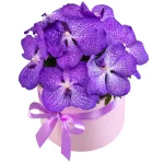 Композиция из 7 орхидей ванда